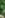 image_editor_output_image-144135787-17518937021332680824663680682706.jpg